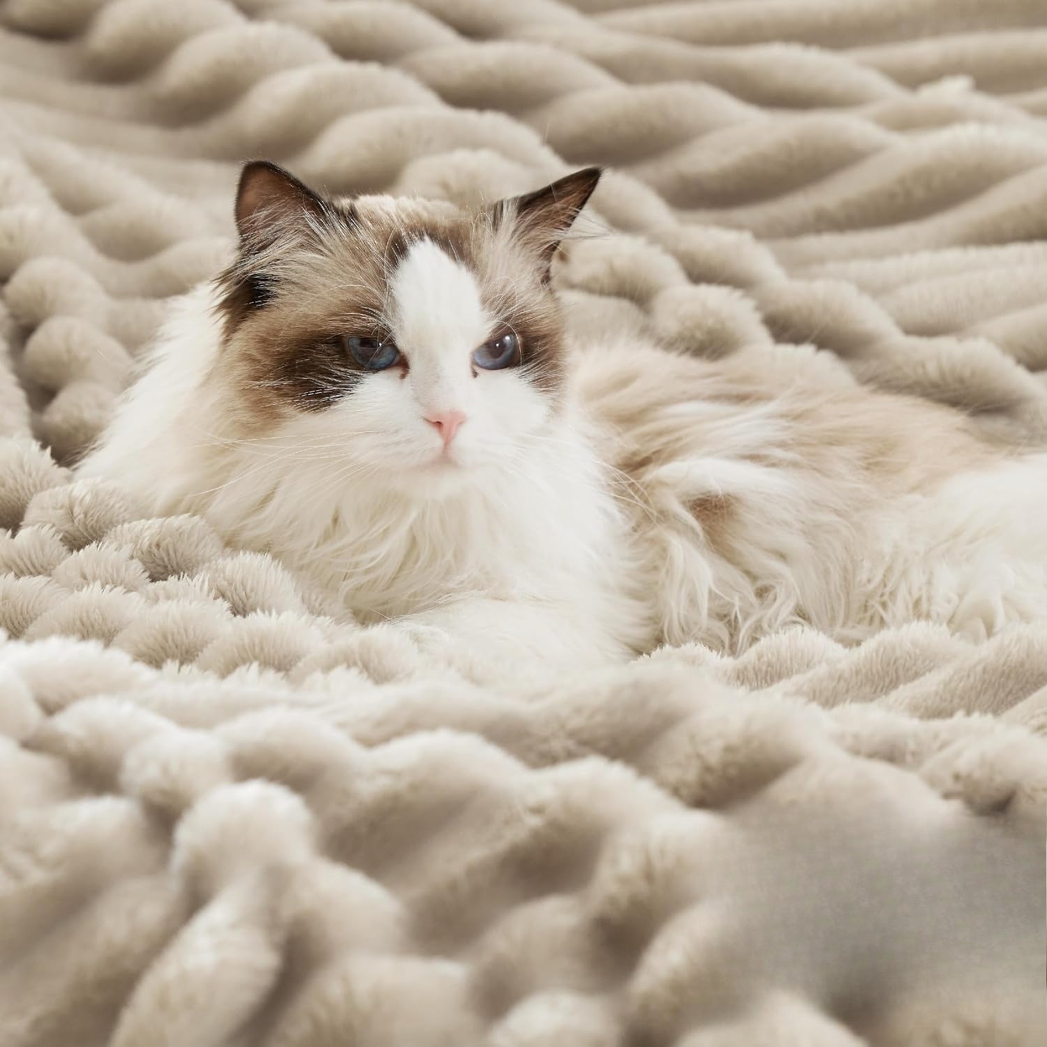 Beige Soft Thick Sherpa Blanket