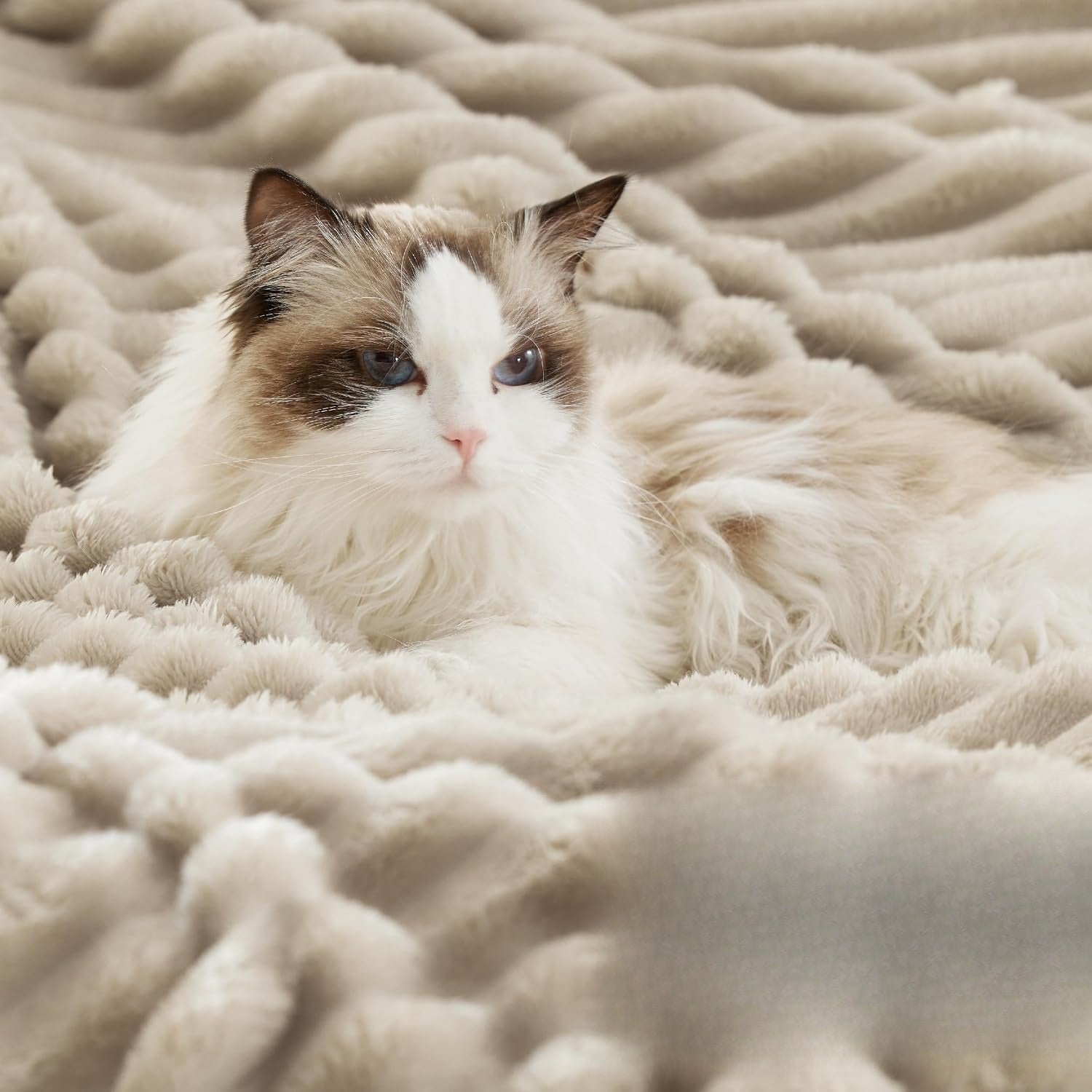 Beige Soft Plush Sherpa Throw Blanket